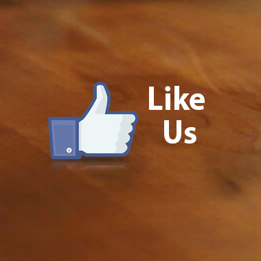 Like Us